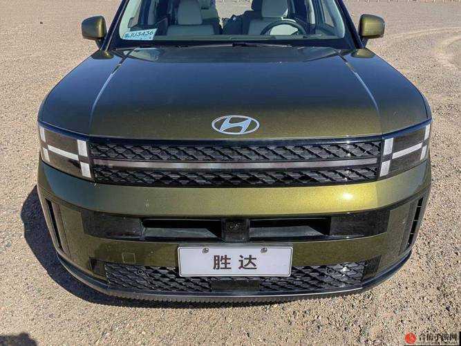 欧美无人区码 SUV：探索未知领域的强大伙伴